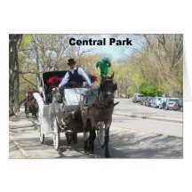 Central Park, Horse and Carriage Greeting Cards
