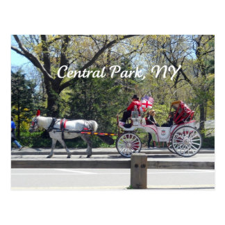 Central Park, Horse and Carriage Postcard