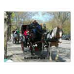 Central Park, Horse and Carriage Postcard