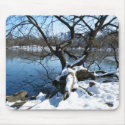 Central Park in Winter Mousepad mousepad
