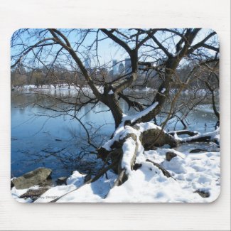 Central Park in Winter Mousepad