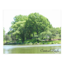 Central Park Lake and Trees Post Card