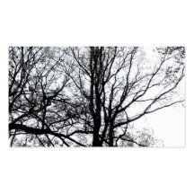 Central Park late autumn almost Barren Tree B&W Business Card Templates