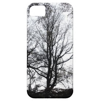 Central Park late autumn almost Barren Tree B&W iPhone 5 Cover