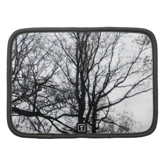 Central Park late autumn almost Barren Tree B&W Planner