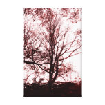 Central Park late autumn, Almost Barren Tree Red Canvas Print