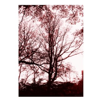 Central Park late autumn, Almost Barren Tree Red Poster