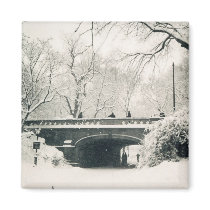 central park magnets
