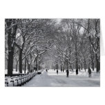 Central Park Mall Winter Scene B&W Cards