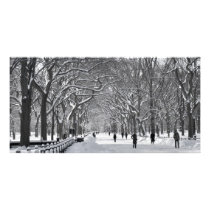 Central Park Mall Winter Scene Photo Greeting Card