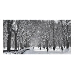 Central Park Mall Winter Scene Photo Greeting Card