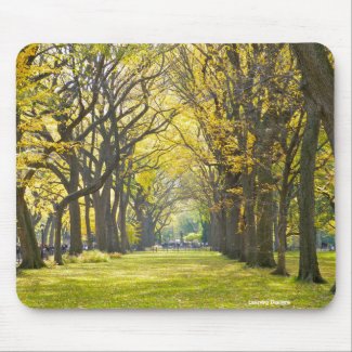 Central Park Mousepad mousepad
