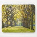 Central Park Mousepad mousepad