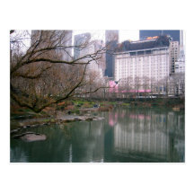Central Park, New York City Postcard