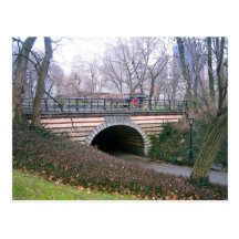 Central Park, New York City Postcard