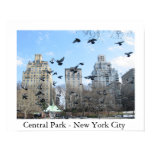 nyc, new, york, city, cental, park, birds, north