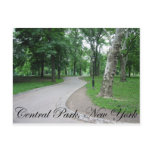Central Park, New York Postcards