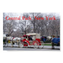 Central Park / New York posters
