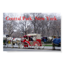 Central Park / New York posters