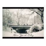 central park nyc post card