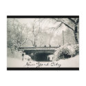 central park nyc postcards