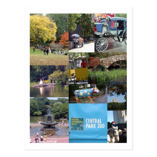 Central Park - NYC Postcard