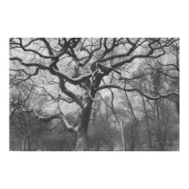 Central Park, NYC posters by hilory10028 Central Park, NYC posters