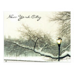 central park nyc tree post cards