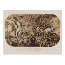 Central Park Palaeozoic Museum Antique Print postcards