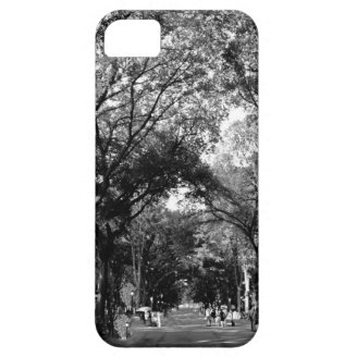 Central Park: Poet's Walk in the Summer BW iPhone 5 Cover