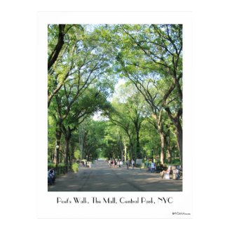 Central Park: Poet's Walk in the Summer Posters