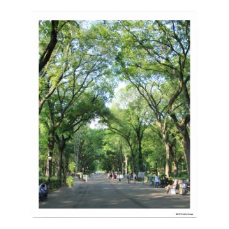 Central Park: Poet's Walk in the Summer Poster