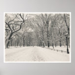 Central Park - Poet's Walk - New York City Posters