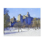 "Central Park" Postcard