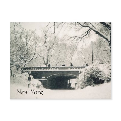 central park postcard by cardart
