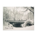 central park postcards by cardart central park postcards