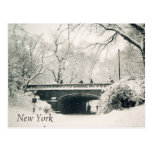 central park postcard