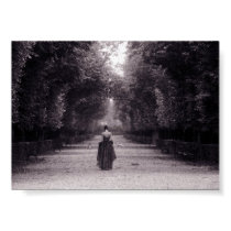 Central Park posters