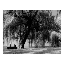 Central Park Rowboats Post Cards