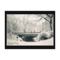 central park snow postcards