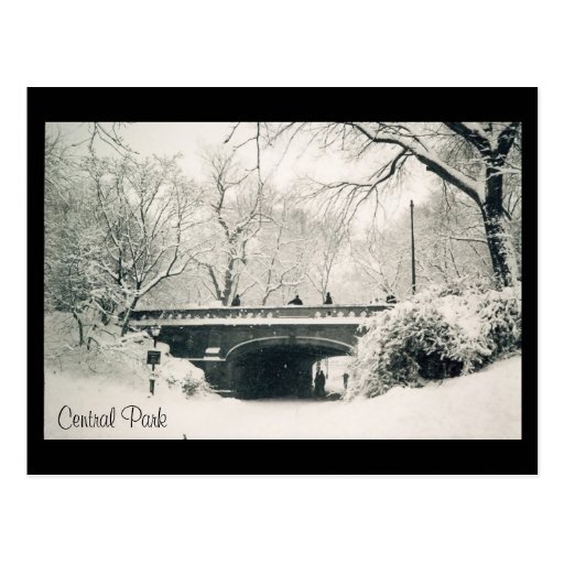 central park snow postcard
