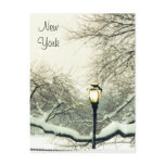 central park snow tree post cards
