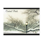 central park snow tree postcards