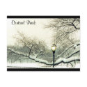 central park snow tree postcards