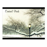 central park snow tree postcards