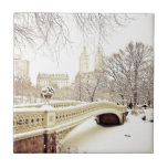 Central Park Snow - Winter New York Tile