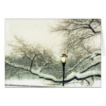 central park snowy tree greeting card