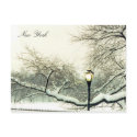 central park snowy tree postcards
