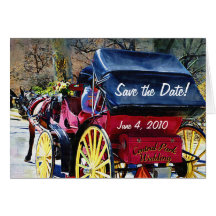 Central Park Wedding Save the Date Card