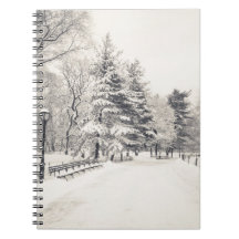 Central Park Winter Path - New York City Spiral Note Books